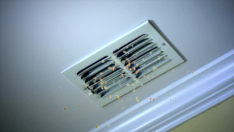 Best HVAC System Cleaning  in Balch Springs, TX