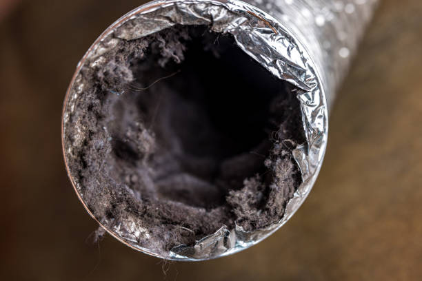 Best Emergency Air Duct Cleaning  in Balch Springs, TX