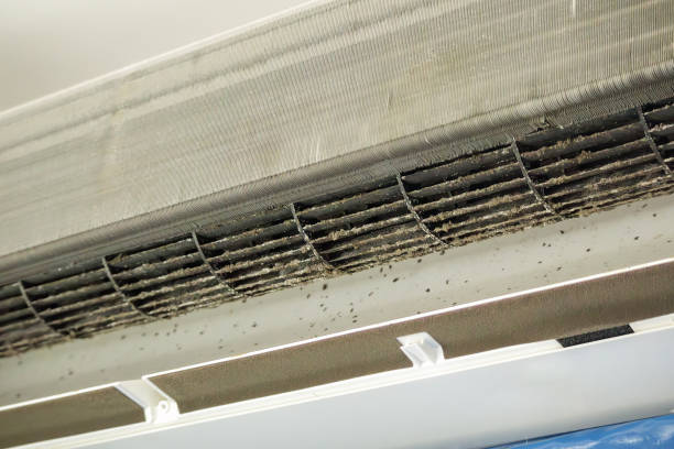 Best Residential Air Duct Cleaning  in Balch Springs, TX